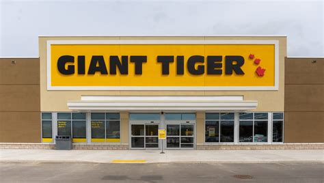 giant tigers|giant tiger online store.